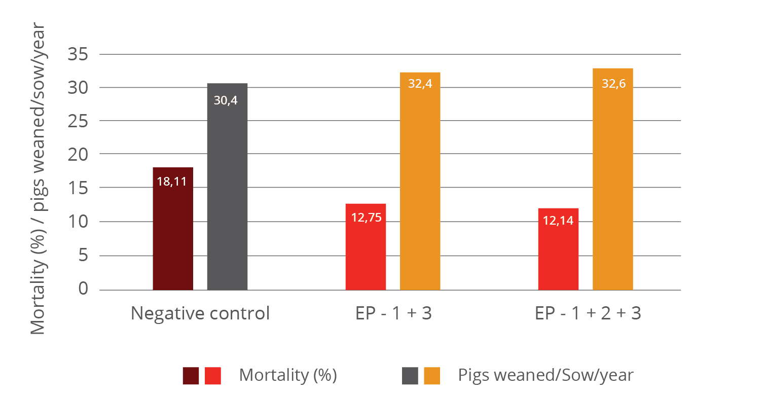 immunity nursery pig Mortality pigs weaned per sow and year 