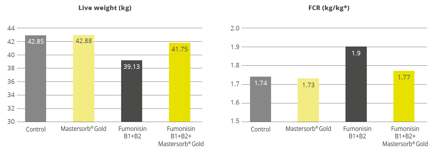 Mastersorb® Gold boosts performance for pigs fed a fumonisin-contaminated diet