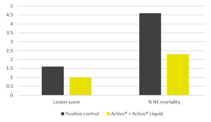 Necrotic Enteritis mortality