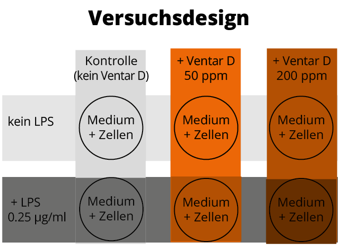 Abb Versuchsdesign Entzündungshemmung