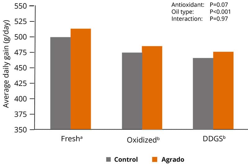 Agrado Mitigates The Negative Effects Of Oxidized Fat