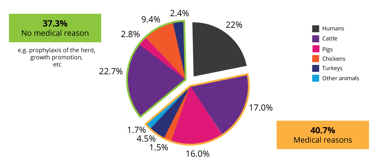 Use of antibiotics in animals and humans