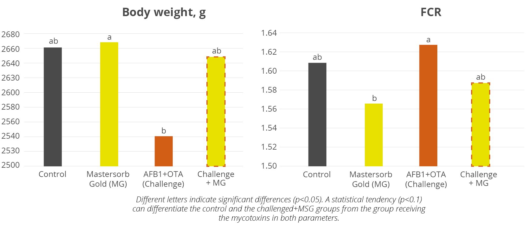 Mastersorb Gold improves body weight and FCR of broilers challenged with AFB1 and OTA