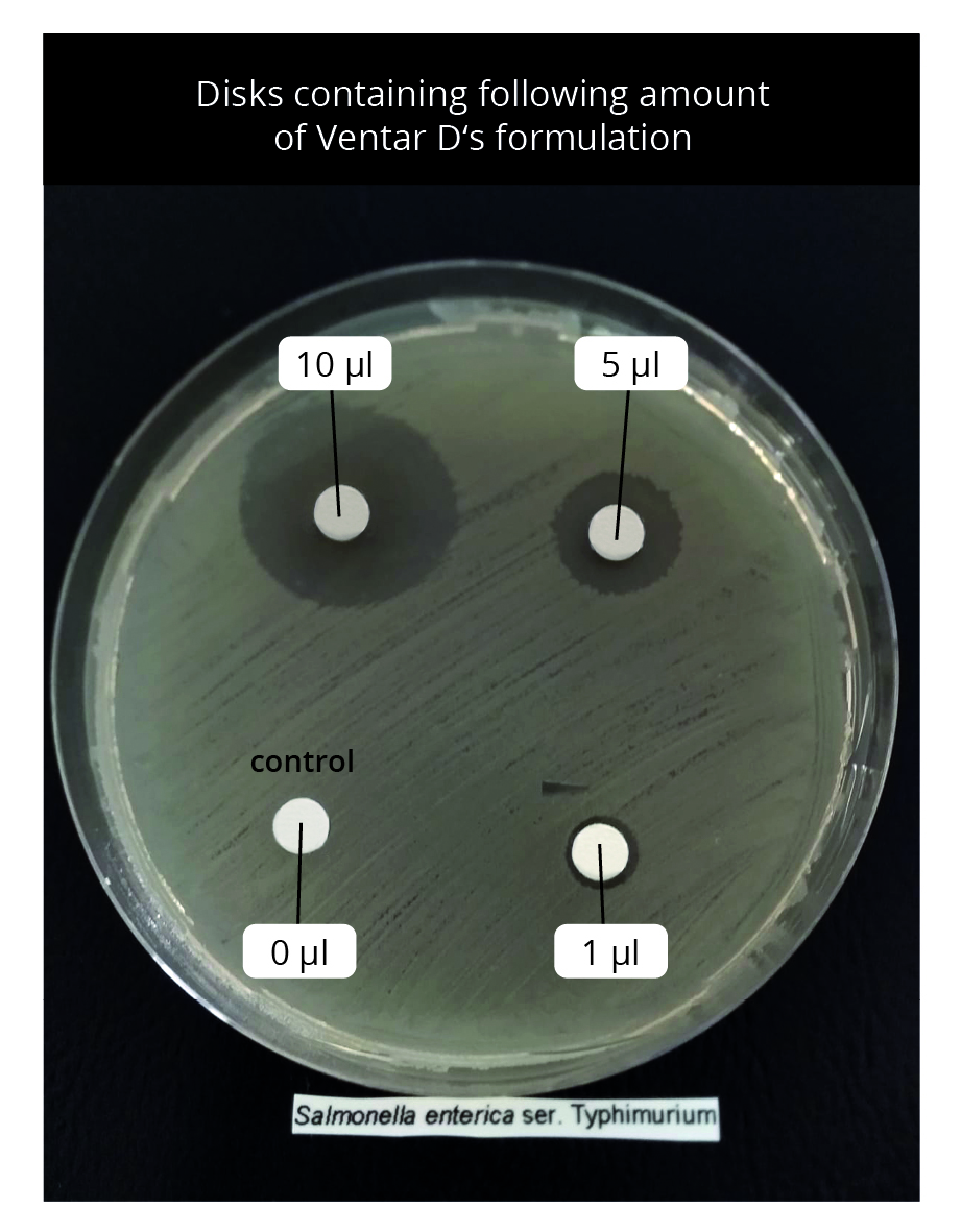 Disk diffusion assay employing S. enterica