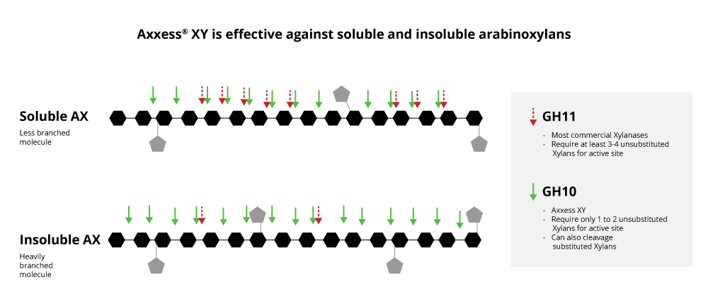 Axxess Xy Is Effective Against Soluble And Insoluble Arabinoxylans