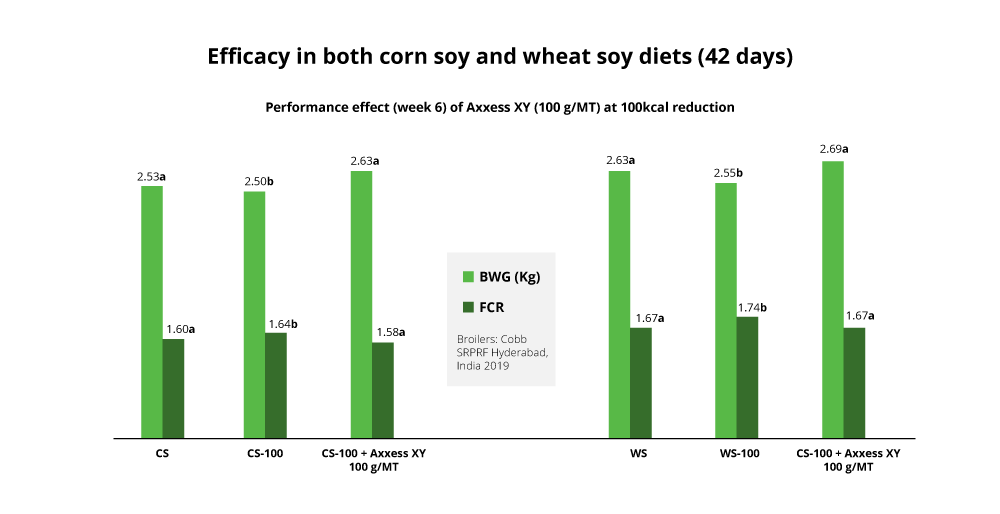 Data showing Axxess XY Efficacy In Both Corn Soy And Wheat Soy Diets