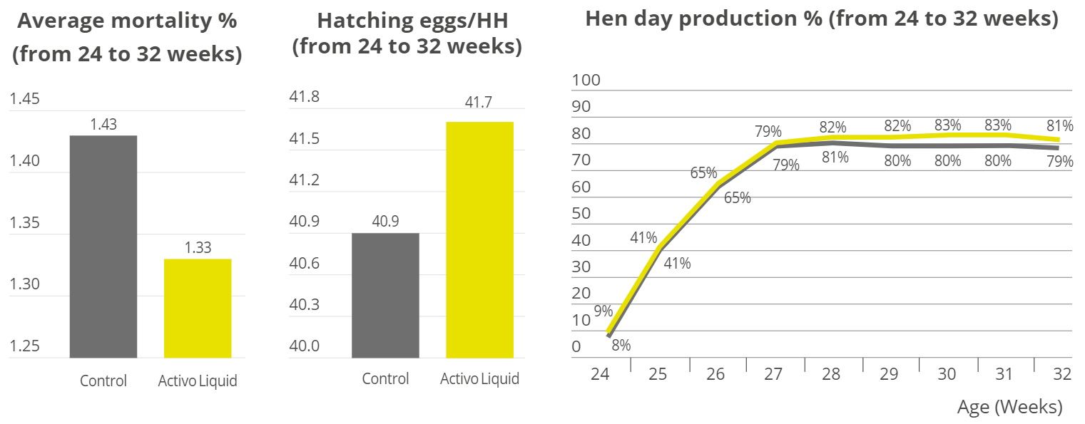 Performance results from Cobb broiler breeders, Activo liquid supplementation vs. control