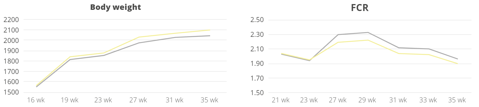 Performance results from Hy-line layers, Activo program vs. control, body weight and FCR