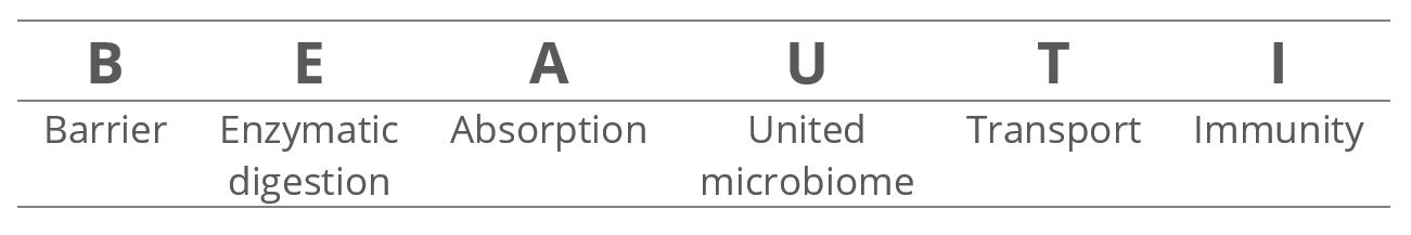 BEAUTI stands for barrier, enzymatic digestion, absorption, united microbiome, transport, and immunity