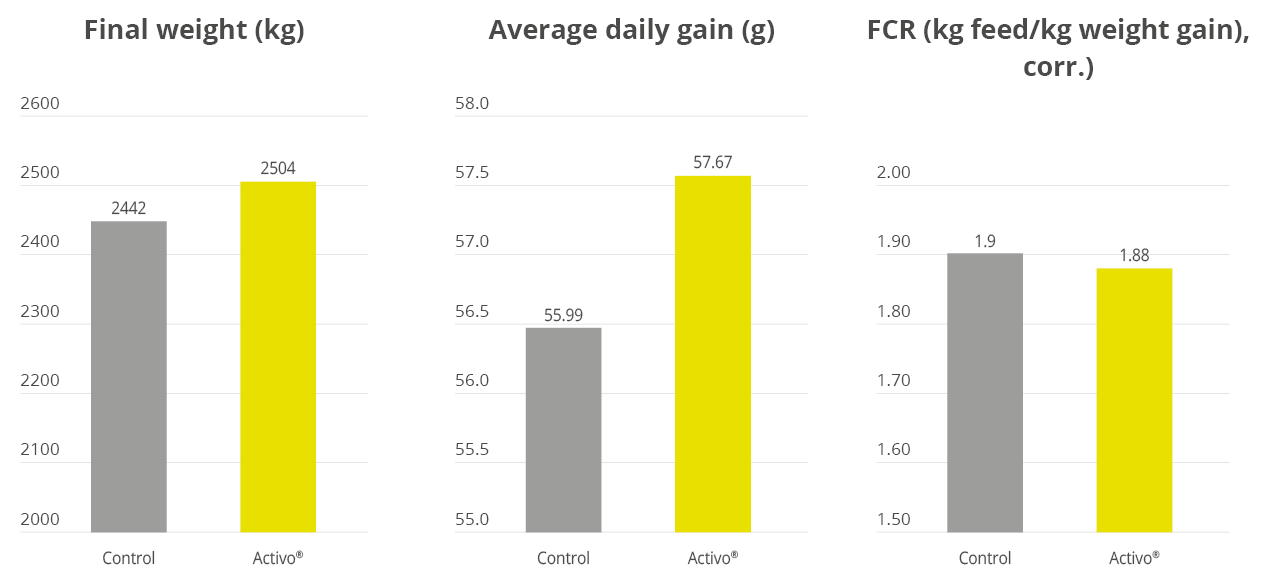 Figure 1: Broiler performance results, Activo vs. non-supplemented control group 