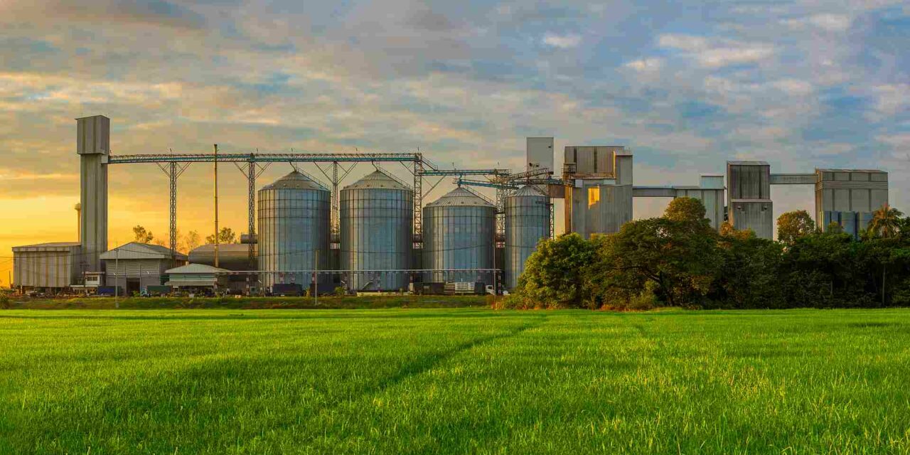 Green field and factory