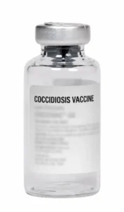 Coccidiosis Vaccine Generic