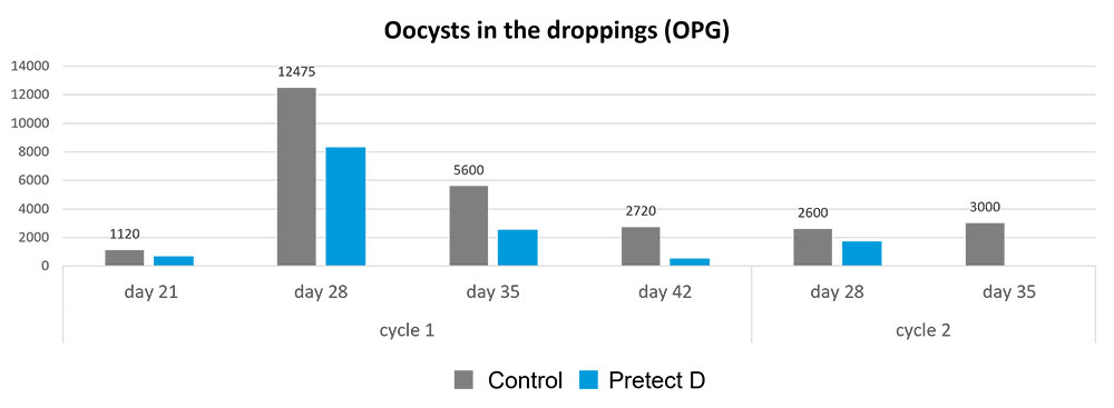 Figure Reduction Of Oocysts In The Droppings By Pretect D