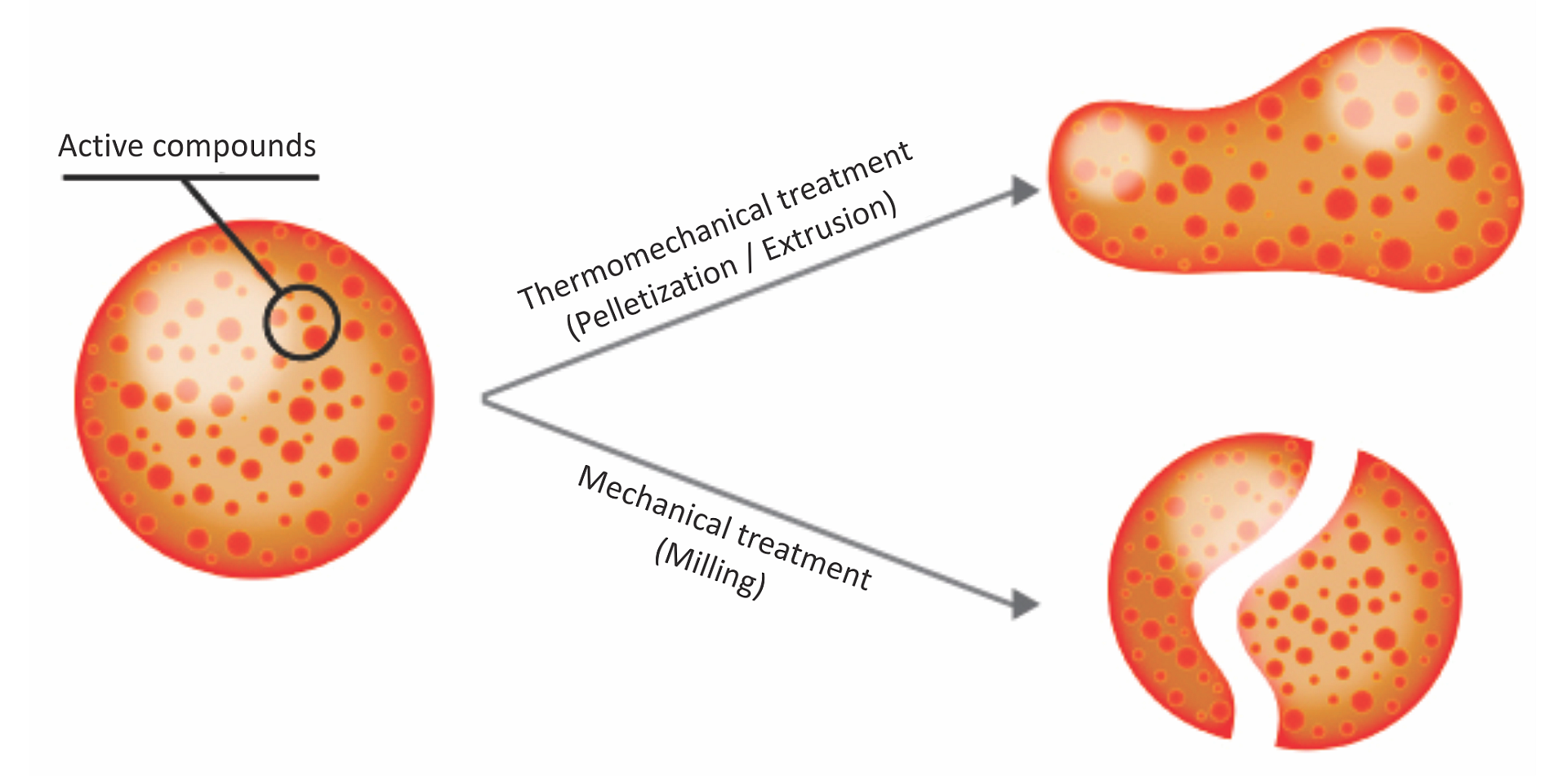 Dietary modulation of gut microflora in broiler chickens: a review