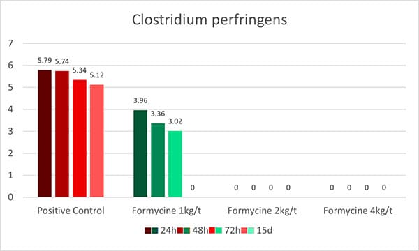 pathogenèse de Clostridium perfringens