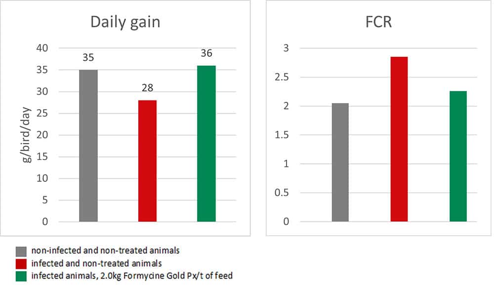 Figure A Daily Gain