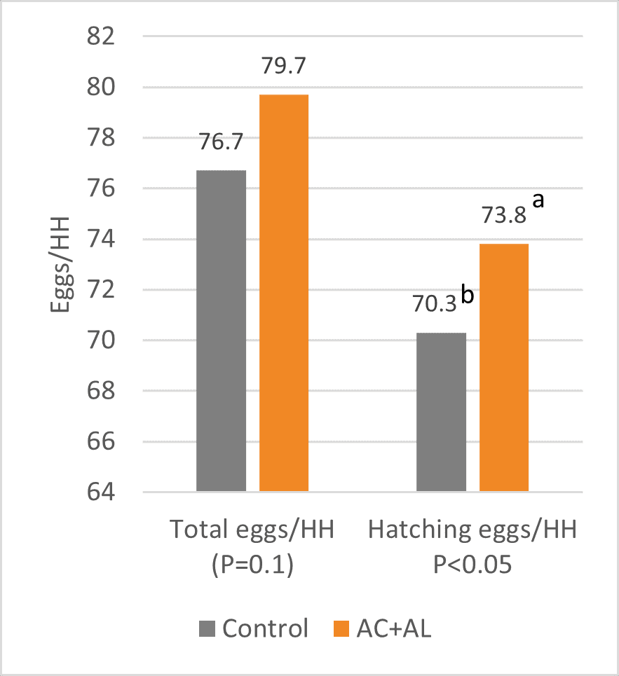 total egg average laying rates