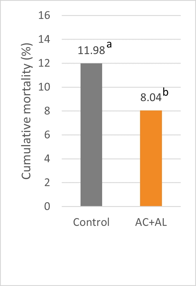 Cumulative mortality rate wk 41