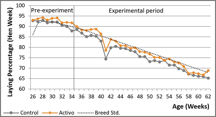 100g Activo/MT was added to the diet.