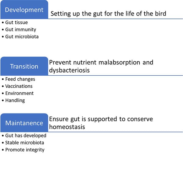 Gut Need Assessment And Management Strategy