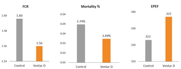 Table Data