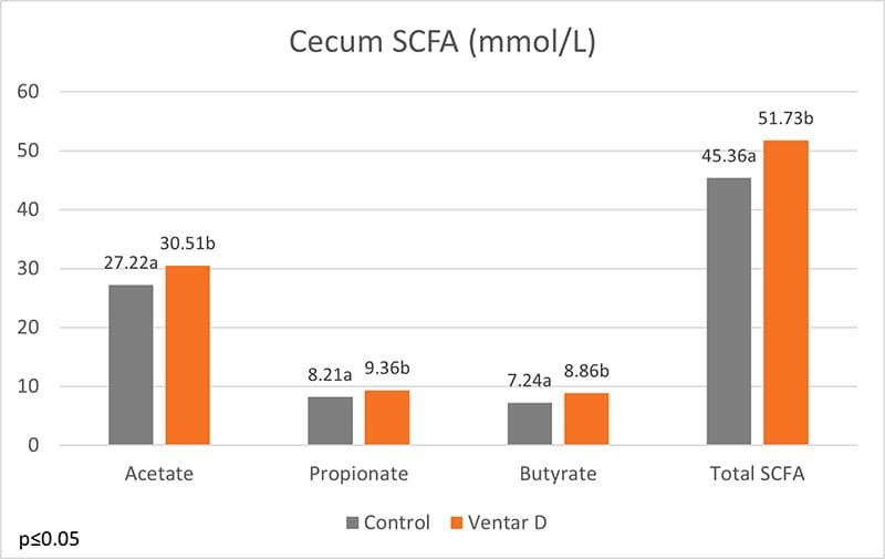 Figure Short Chain Fatty Acids