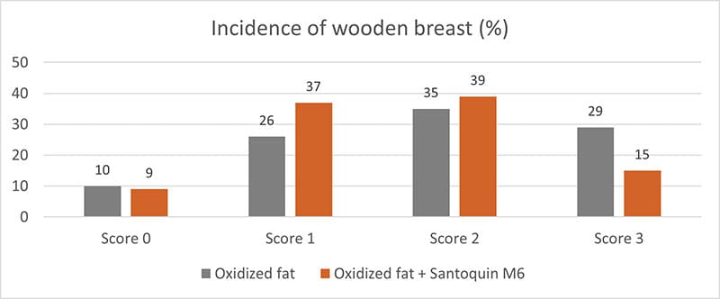 Figure Incidence Of Wooden Breast