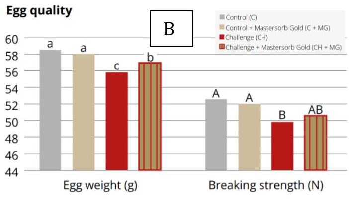 Figure B