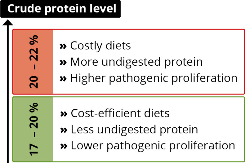 crude protein levels in piglet feed