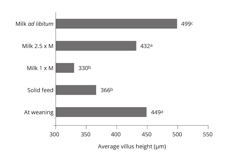 Average villus height 