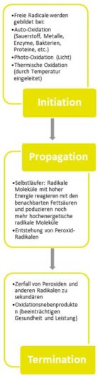 Ranzigkeit von Fetten und Ölen: Kontrolle und Vermeidung - EW Nutrition