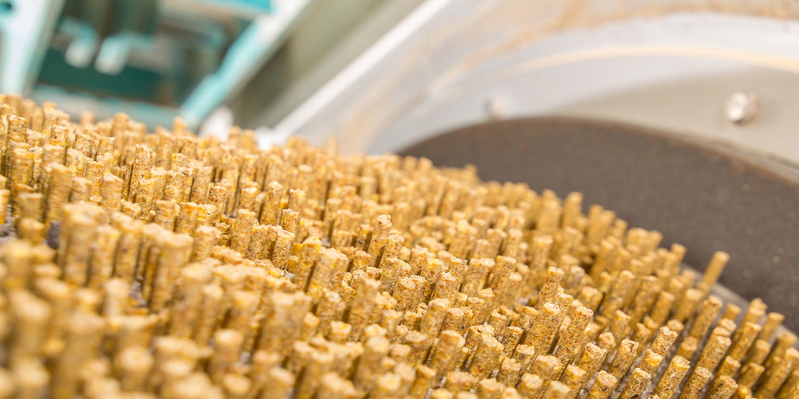 Pelleting's role in producing effective feeds - All About Feed