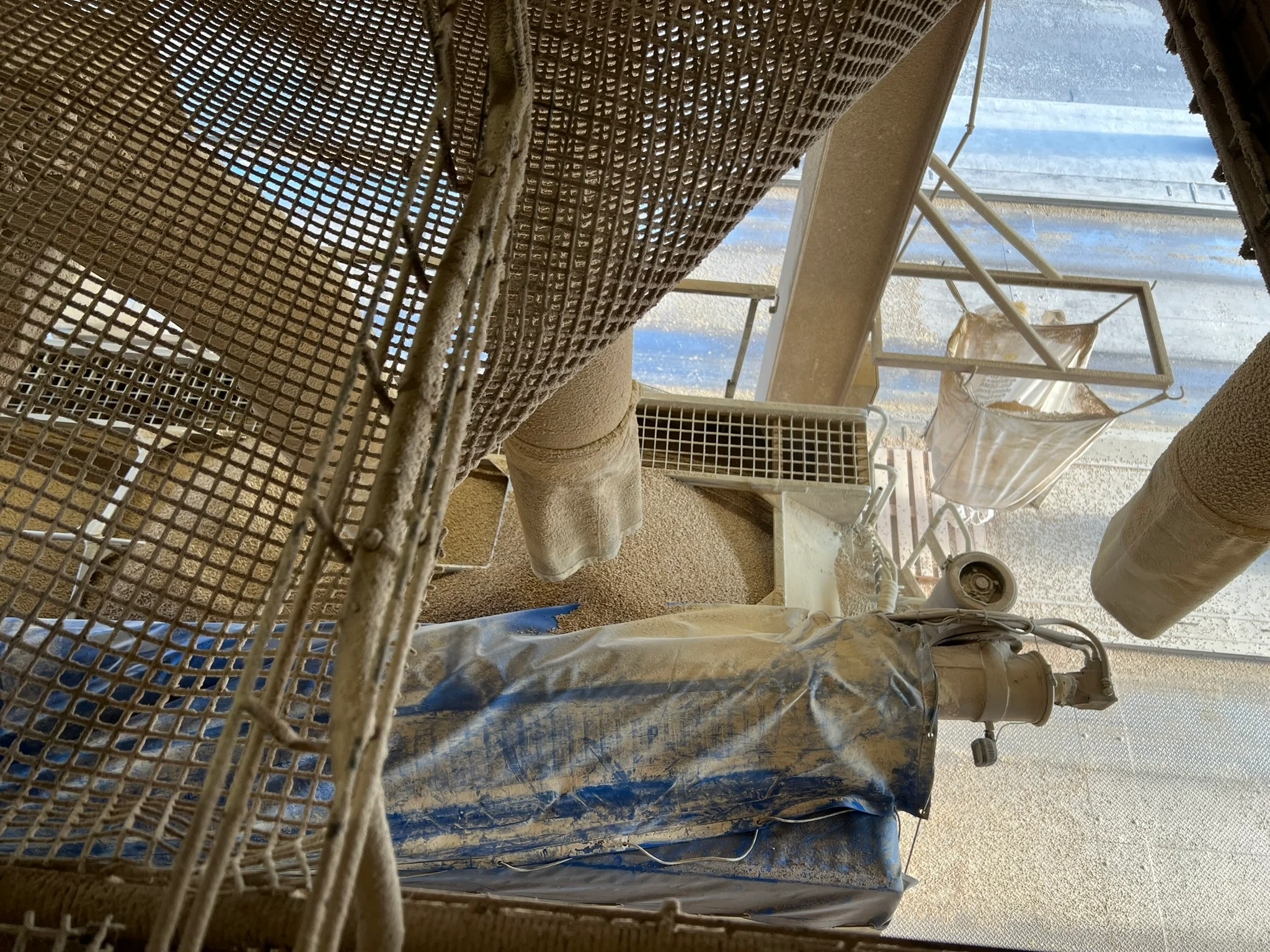 Post-process hygiene and recontamination