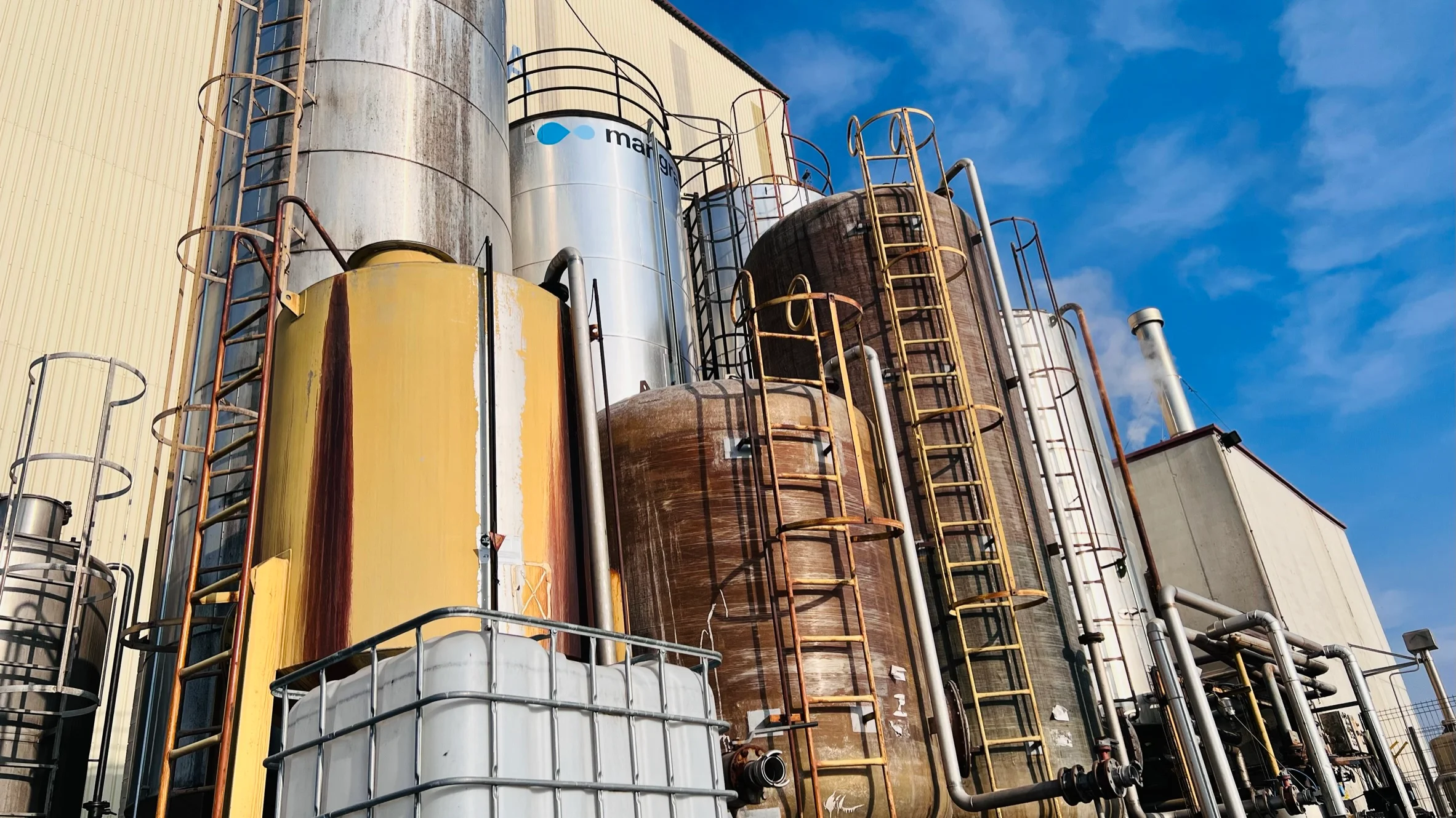 The influence of moisture on salmonella control in feed processing