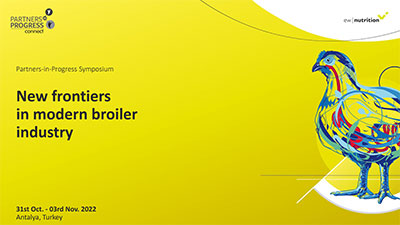 Radek Nigrin Opening