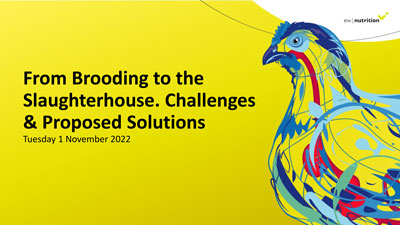 Marie Oosthuizen Quality Challenges