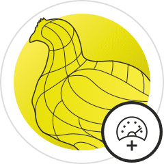 icon breeder performance poultry
