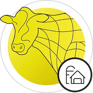 icon on farm solutions ruminants