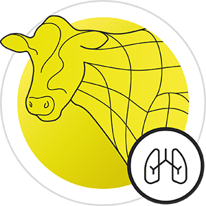 icon respiratory issues ruminants