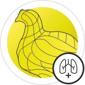 icon respiratory relief poultry