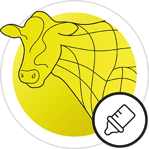 icon young animal nutrition ruminants