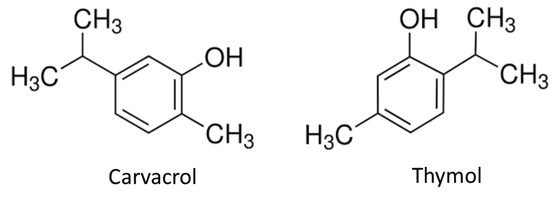 Phytomolecules Carvacrol And Thymol