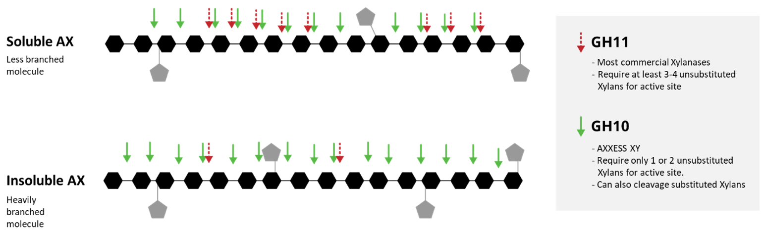 Optimizing the Use of DDGS in Poultry Feeds with Xylanase