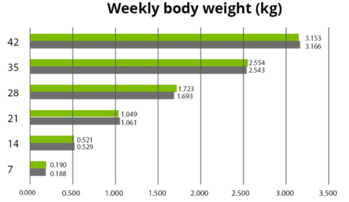 Weekly Body Weight